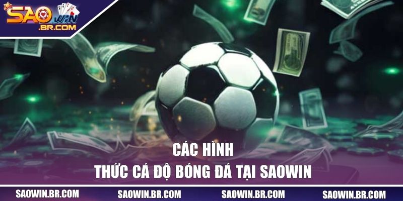 Cá Cược Bóng Đá SAOWIN | Sân Chơi Uy Tín Và Đầy Hấp Dẫn 2 Các hình thức cá độ bóng đá tại SAOWIN