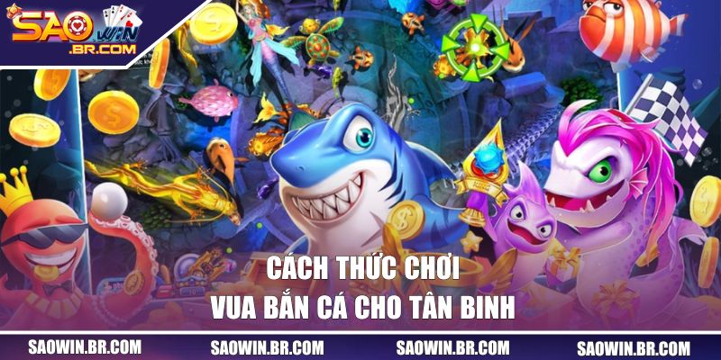 Cách thức chơi vua bắn cá cho tân binh chưa biết