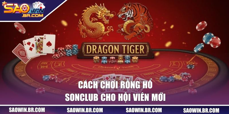 Chi tiết cách chơi Rồng Hổ SAOWIN cho hội viên mới