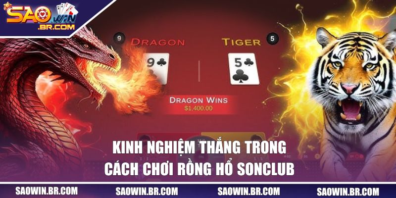 Kinh nghiệm thắng trong cách chơi Rồng Hổ SAOWIN